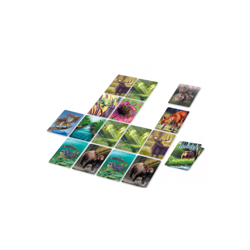 Ecosysteme-Foret ecosysteme