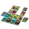 Ecosysteme-Foret ecosysteme